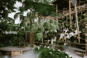 Nọng Cafe Thủ Đức – Cà phê “rừng nhiệt đới”