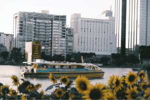 Water Bus Sài Gòn – Trải nghiệm ngắm thành phố từ sông