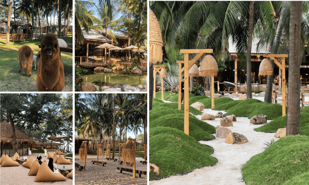 Top 5 quán cà phê cực hot ở Phan Thiết - Cập nhật 2026