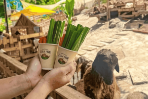 Ulala Farm Vũng Tàu – Nông trại sống ảo view biển cực chill