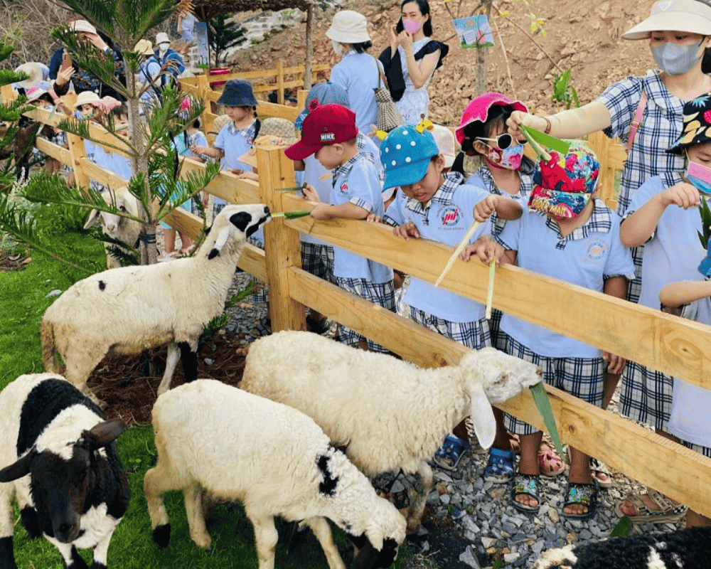 Ulala Farm Vũng Tàu – Nông trại sống ảo view biển cực chill